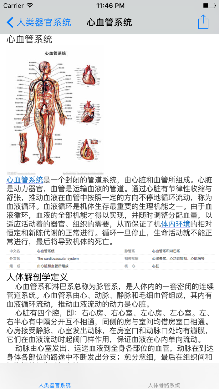 人类器官系统人体骨骼构造大全