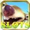 Funny Civet Slots - Big Slots Machine, Fun Vegas