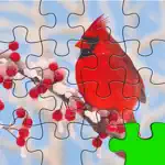 Birds Jigsaw Free - Collection Of Unique Puzzle Pics Of Falcons & Penguins App Negative Reviews