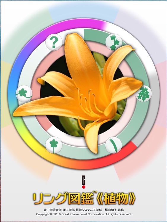 リング図鑑 《植物》
