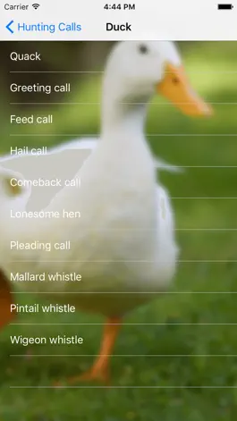 Game screenshot Hunting Calls 2016 hack