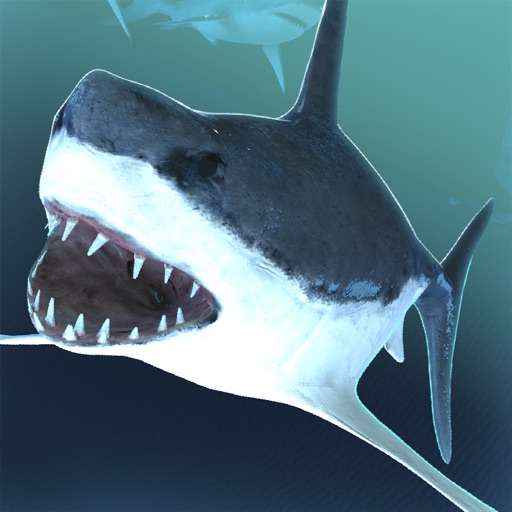 Shark Simulator 2016 | Funny Hungry Shark Game Icon