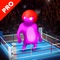 Mortal Wrestle Fight Pro