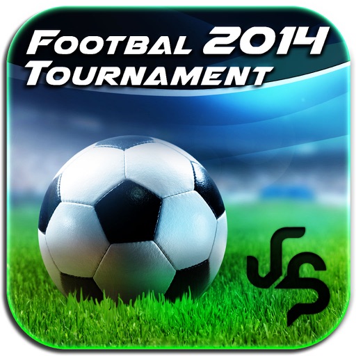 Play REAL FOOTBALL TOURNAMENT 2014 Icon