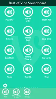 best of vine soundboard problems & solutions and troubleshooting guide - 2