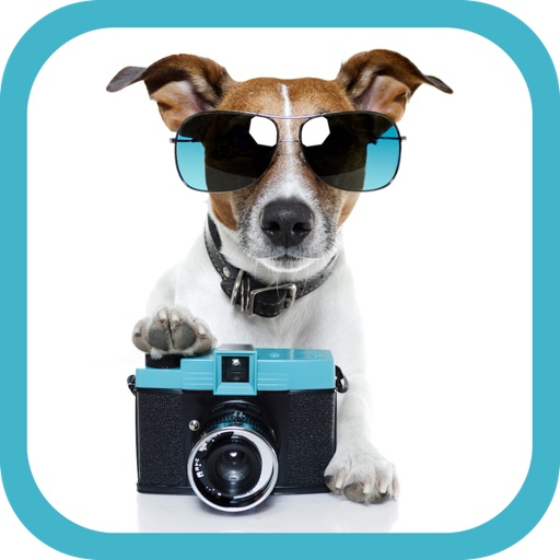 My Dog Camera: Snap, Organize & Share your favorite Dog photos! icon