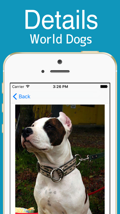 World Dogs! screenshot