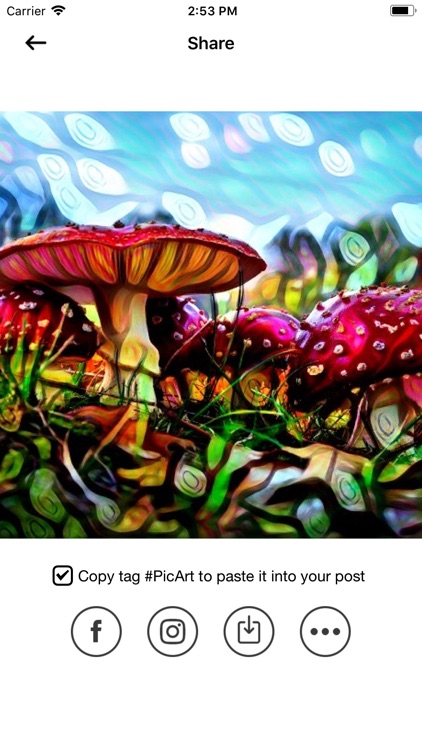 PicArt Pro -Cartoon & Art Pics by Nguyen Hong
