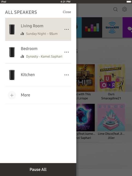 Wireless Audio Multiroom iPad screenshot-3