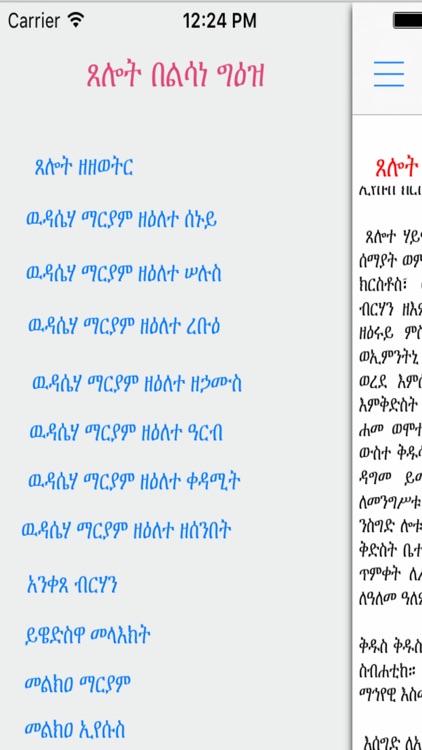 Debelo Tselot Ver 2 screenshot-4