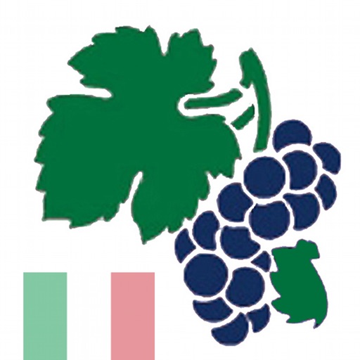 Weinquiz Italien Icon