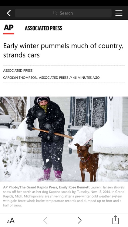 MSN News