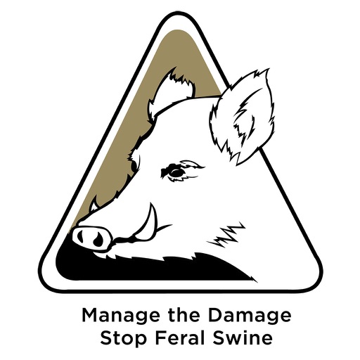 Feral Swine icon