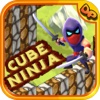 Adventure of Cube Ninja