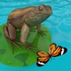 Frogs Life - iPhoneアプリ