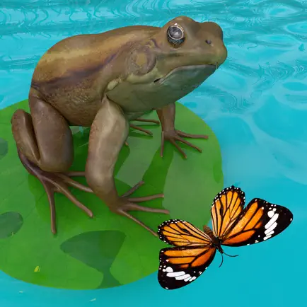 Frogs Life Cheats