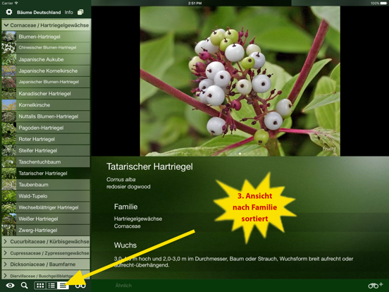 Screenshot #6 pour Alle Bäume Deutschland - 1000 Arten bestimmen