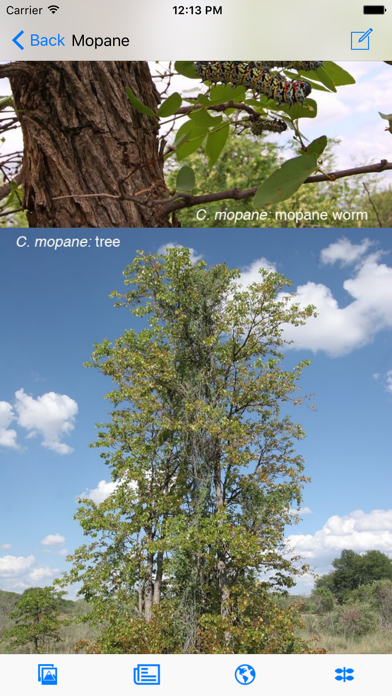 Screenshot #2 pour eTrees of Southern Africa