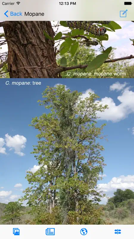 eTrees of Southern Africa screenshot 2 of 5