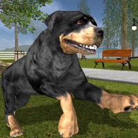 Rottweiler Dog Life Simulator logo