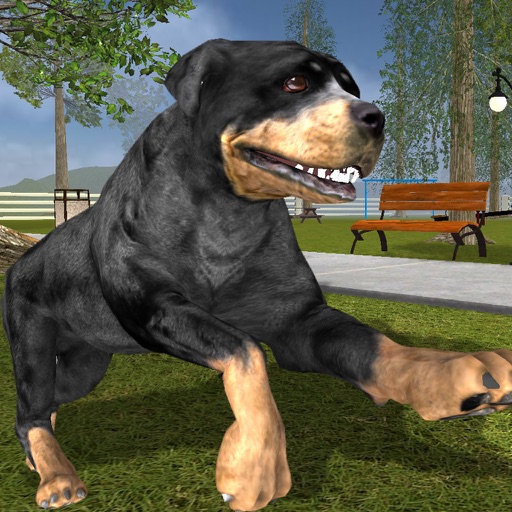 Rottweiler Dog Life Simulator iOS App