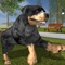 Rottweiler Dog Life Simulator