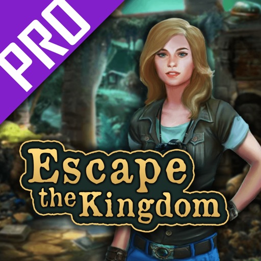 Escape the Kingdom - Find the Way Out Pro icon