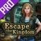 Escape the Kingdom - Find the Way Out Pro