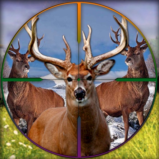 Wild Deer Challenge - 2017 iOS App