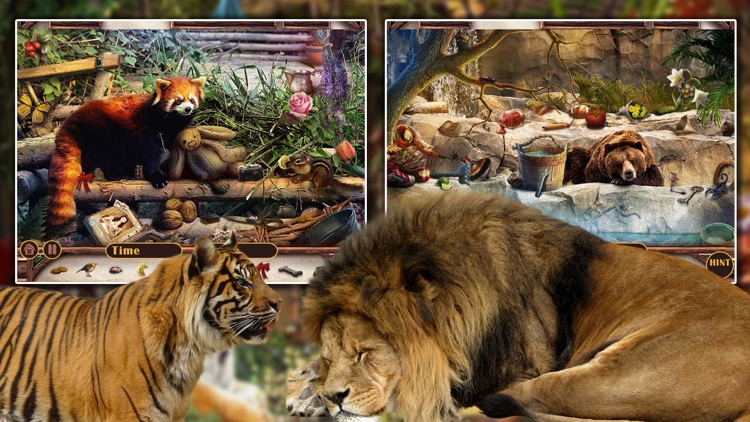 Hidden Object Animal Story