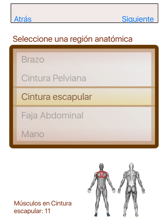 Screenshot #6 pour Atlas Músculo-esquelético