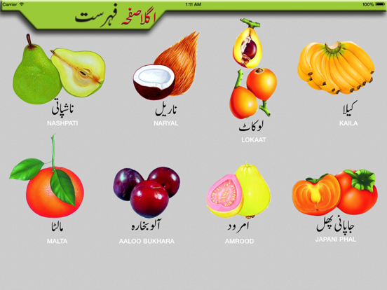 Toddler Urdu Qaidah Learningのおすすめ画像4
