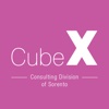 CubeX Consulting
