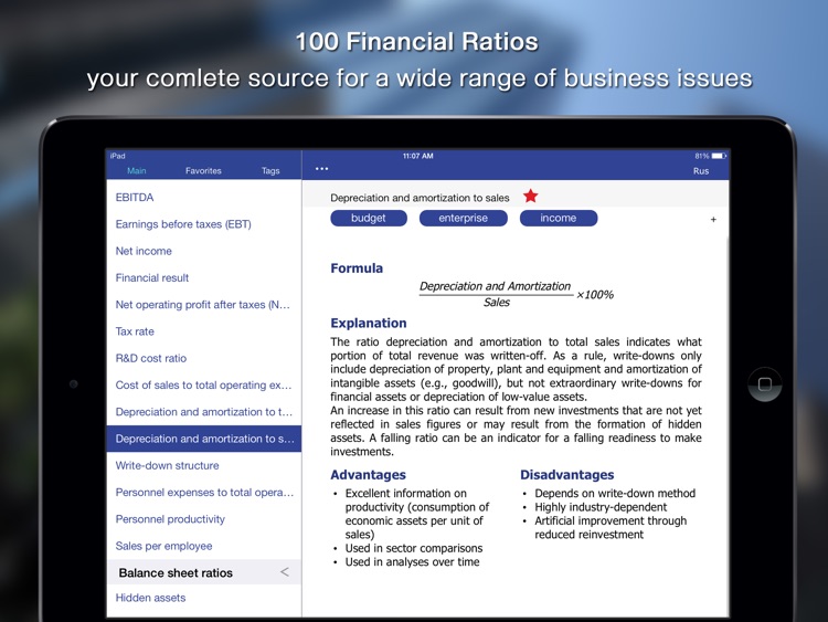 100 Financial Ratios for iPad screenshot-4