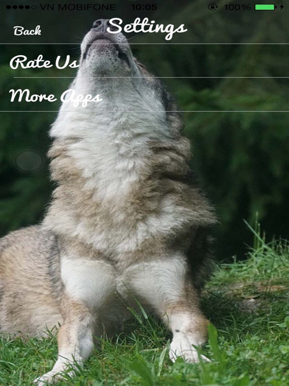 Wolf Sounds - Gray wolf Sounds iPad screenshot