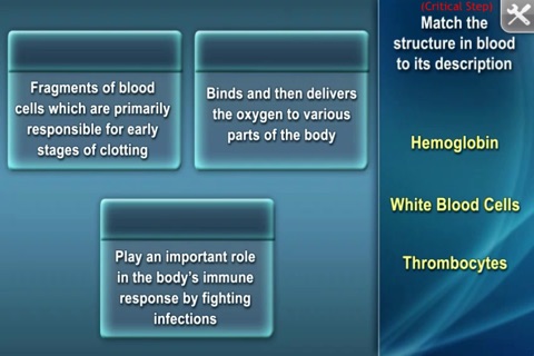 Medrills: Hematologic and Renal Emergencies screenshot 4