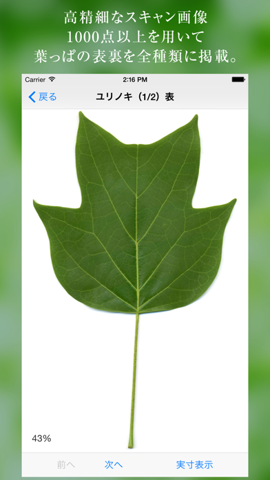 葉っぱ図鑑 - Leaf Dictionary -のおすすめ画像2