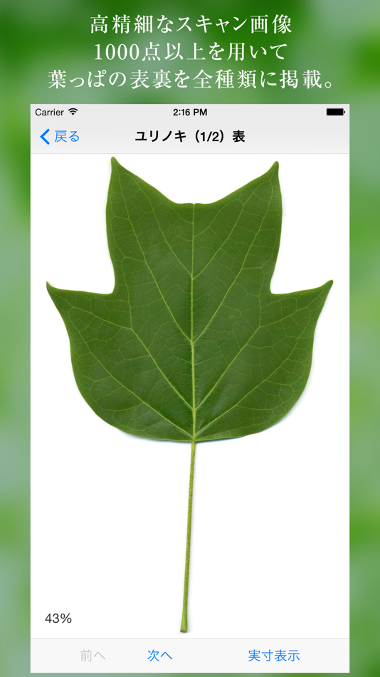 #2. 葉っぱ図鑑 - Leaf Dictionary - (iOS) By: Produce Media, K.K.