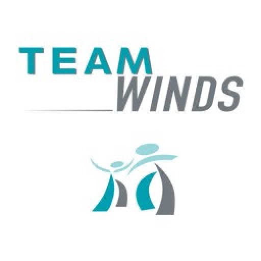 Team Winds icon