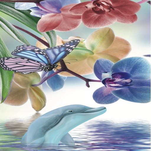 Flowers, Fins & Flight