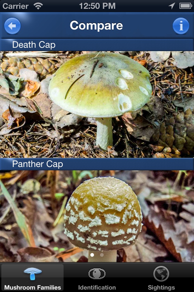 Mushroom Id Guide - UK screenshot 3