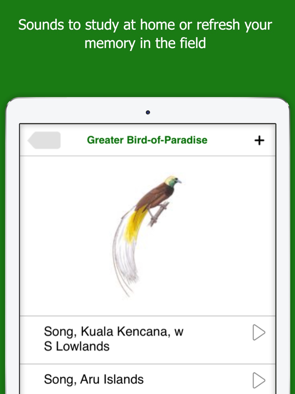 iPad screenshot