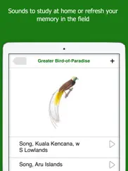 birds of new guinea ipad images 4