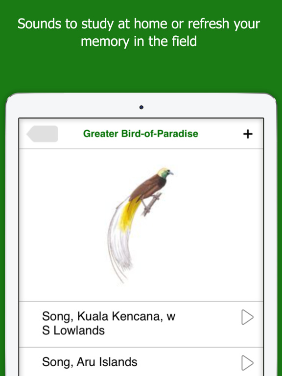Birds of New Guinea iPad screenshot 4 - Book app