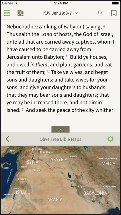 Bible - Daily Reading & Study Bible by Olive Tree