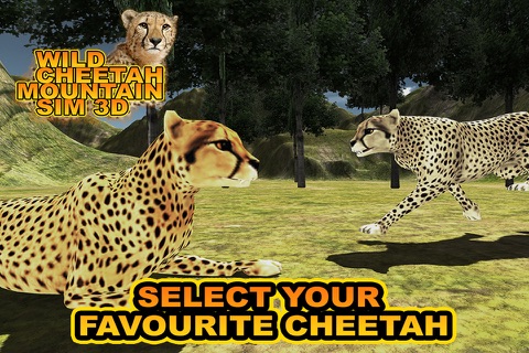 African Cheetah Safari Mountain Simulator screenshot 4