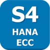 HANA ECC Book