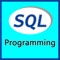 Icon SQL programming tutorial