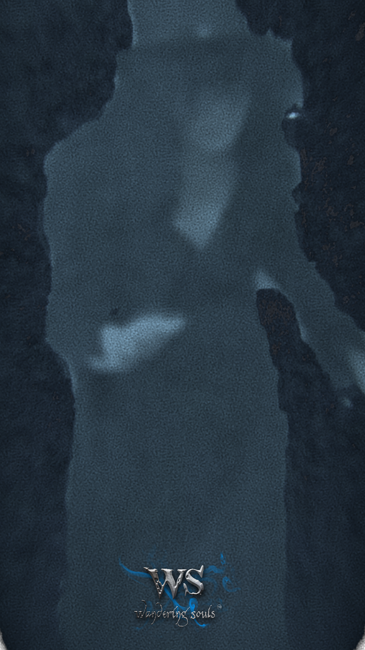 Wandering Souls