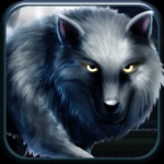 Download The Wolf Running Among Woods app